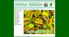 Desktop Screenshot of etoburbitki.com