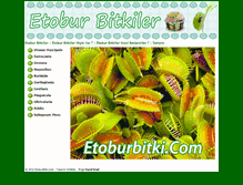 Tablet Screenshot of etoburbitki.com